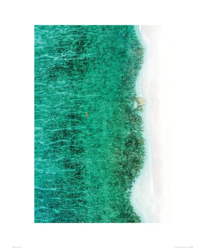 Maldives Beach - reprodukcja