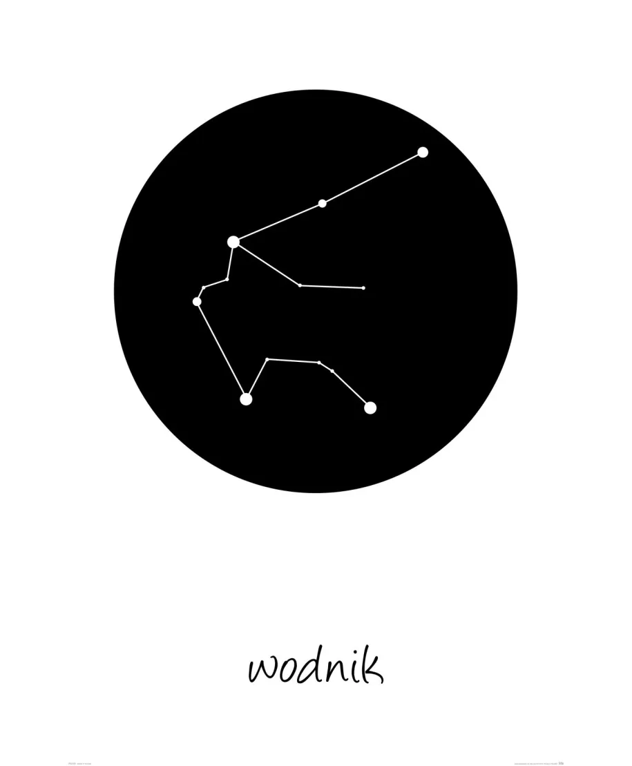 Wodnik konstelacja w kole - plakat