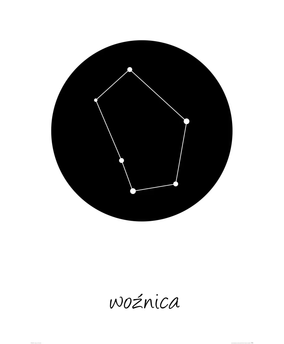 Woźnica konstelacja w kole - plakat