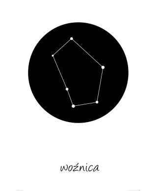 Woźnica konstelacja w kole - plakat