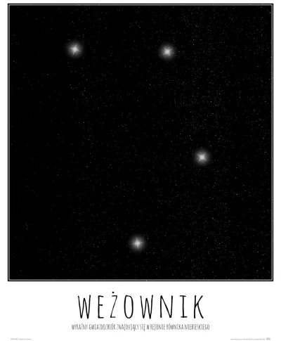 Wężownik konstelacja gwiazd z opisem - plakat