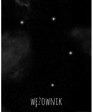 Wężownik konstelacja gwiazd - plakat