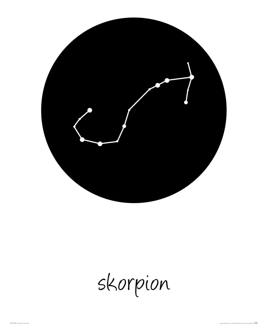 Skorpion konstelacja w kole - plakat