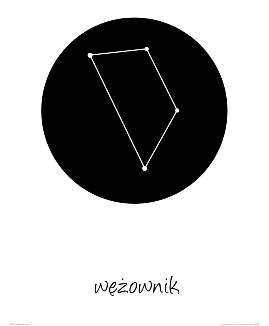 Wężownik konstelacja w kole - plakat