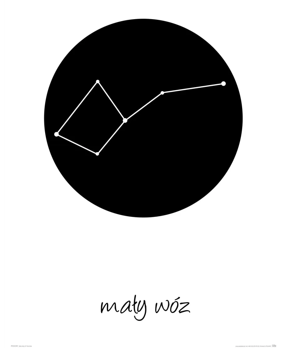Mały Wóz konstelacja w kole - plakat