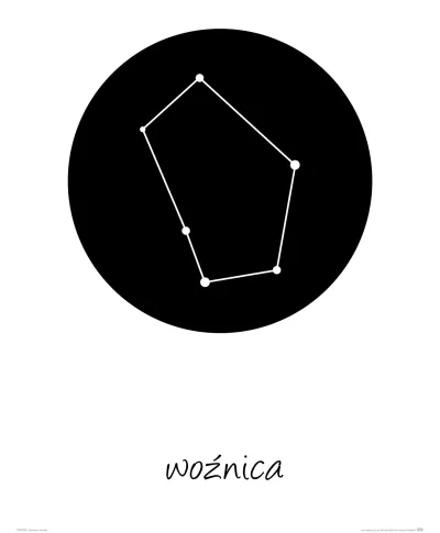 Woźnica konstelacja w kole - plakat