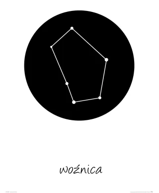 Woźnica konstelacja w kole - plakat