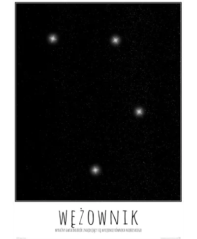 Wężownik z opisem - plakat