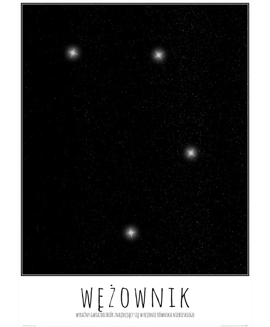 Wężownik z opisem - plakat