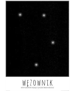 Wężownik z opisem - plakat