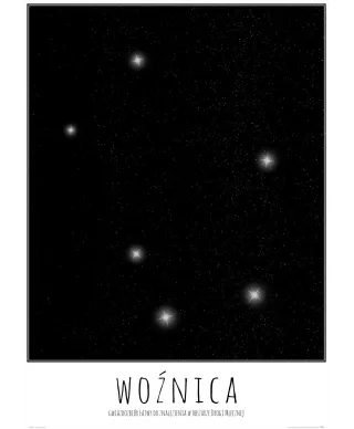 Woźnica z opisem - plakat