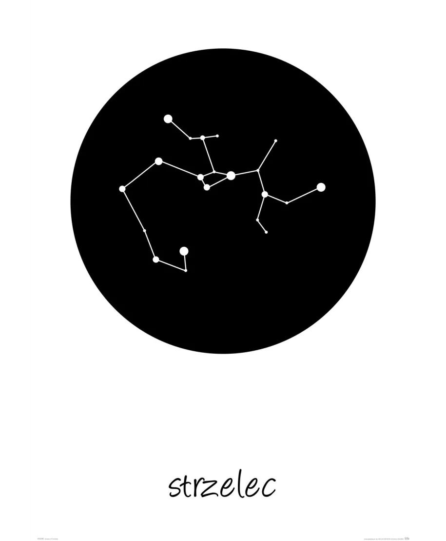 Strzelec konstelacja w kole - plakat