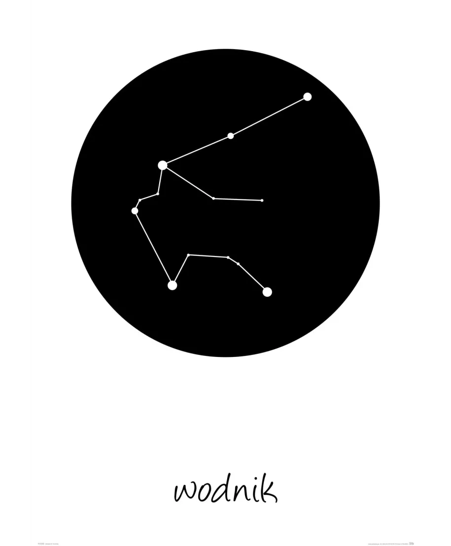 Wodnik konstelacja w kole - plakat