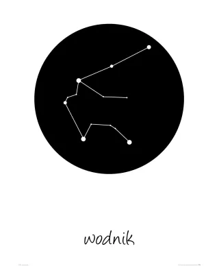 Wodnik konstelacja w kole - plakat