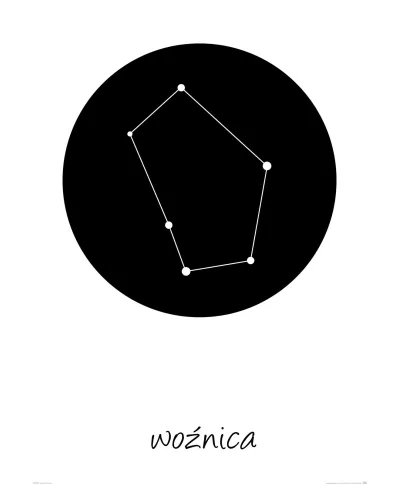 Woźnica konstelacja w kole - plakat