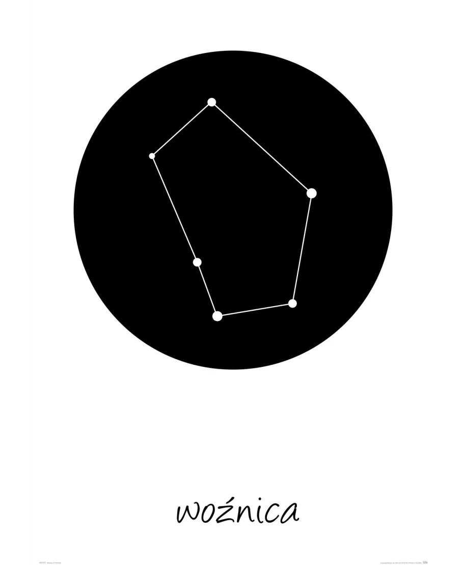 Woźnica konstelacja w kole - plakat