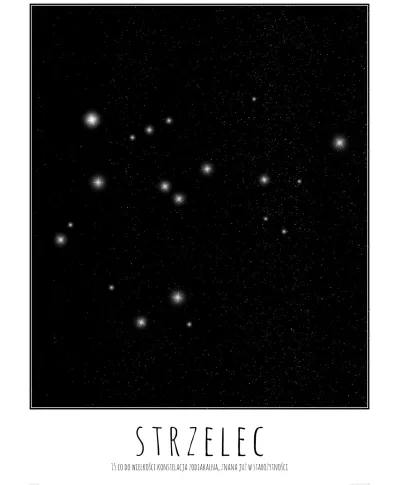 Strzelec z opisem - plakat