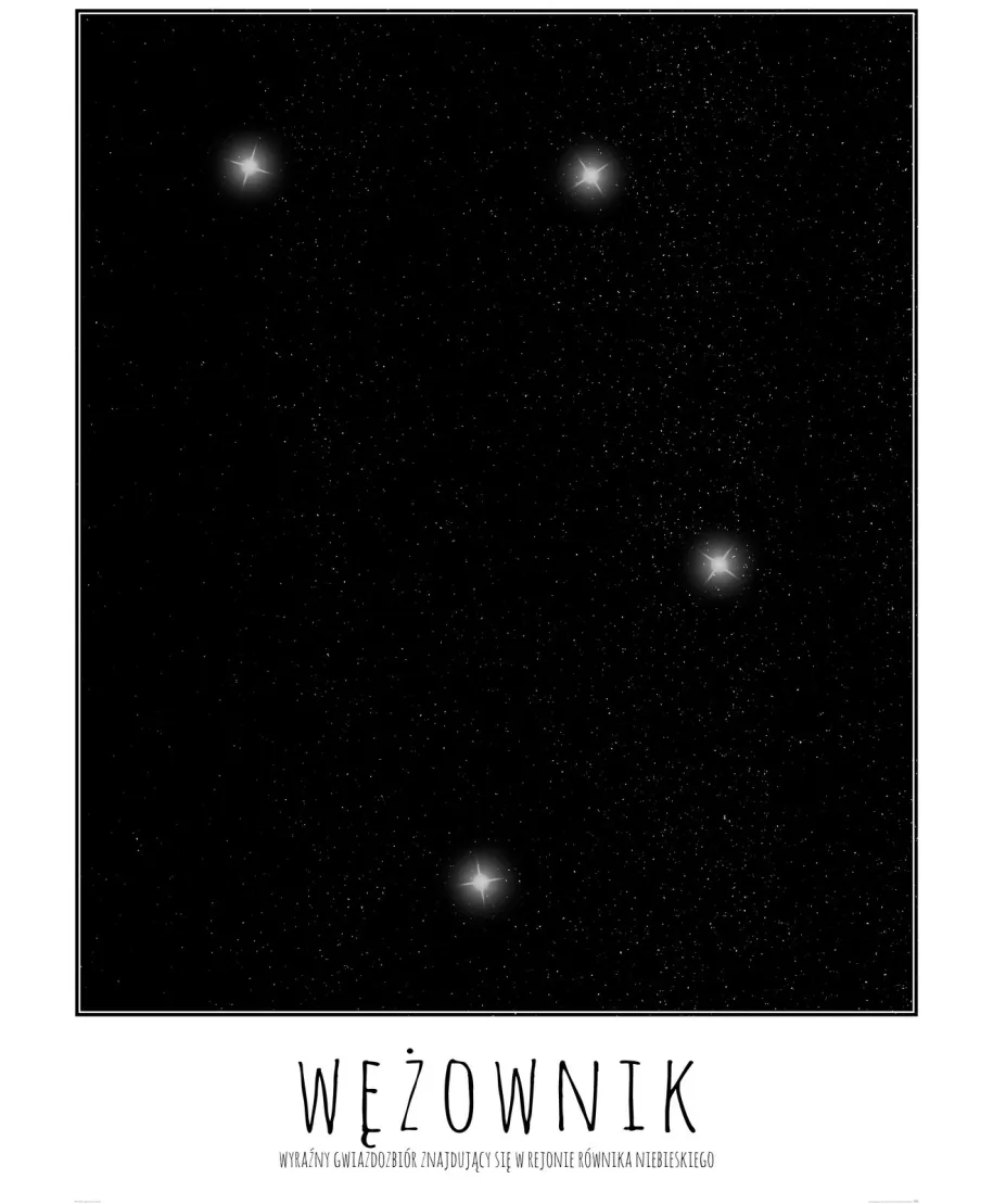 Wężownik z opisem - plakat