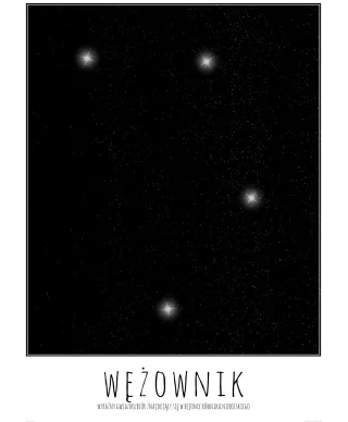 Wężownik z opisem - plakat