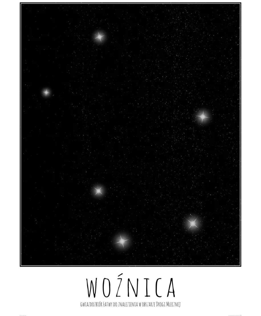 Woźnica z opisem - plakat