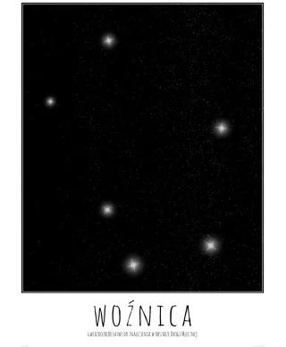 Woźnica z opisem - plakat