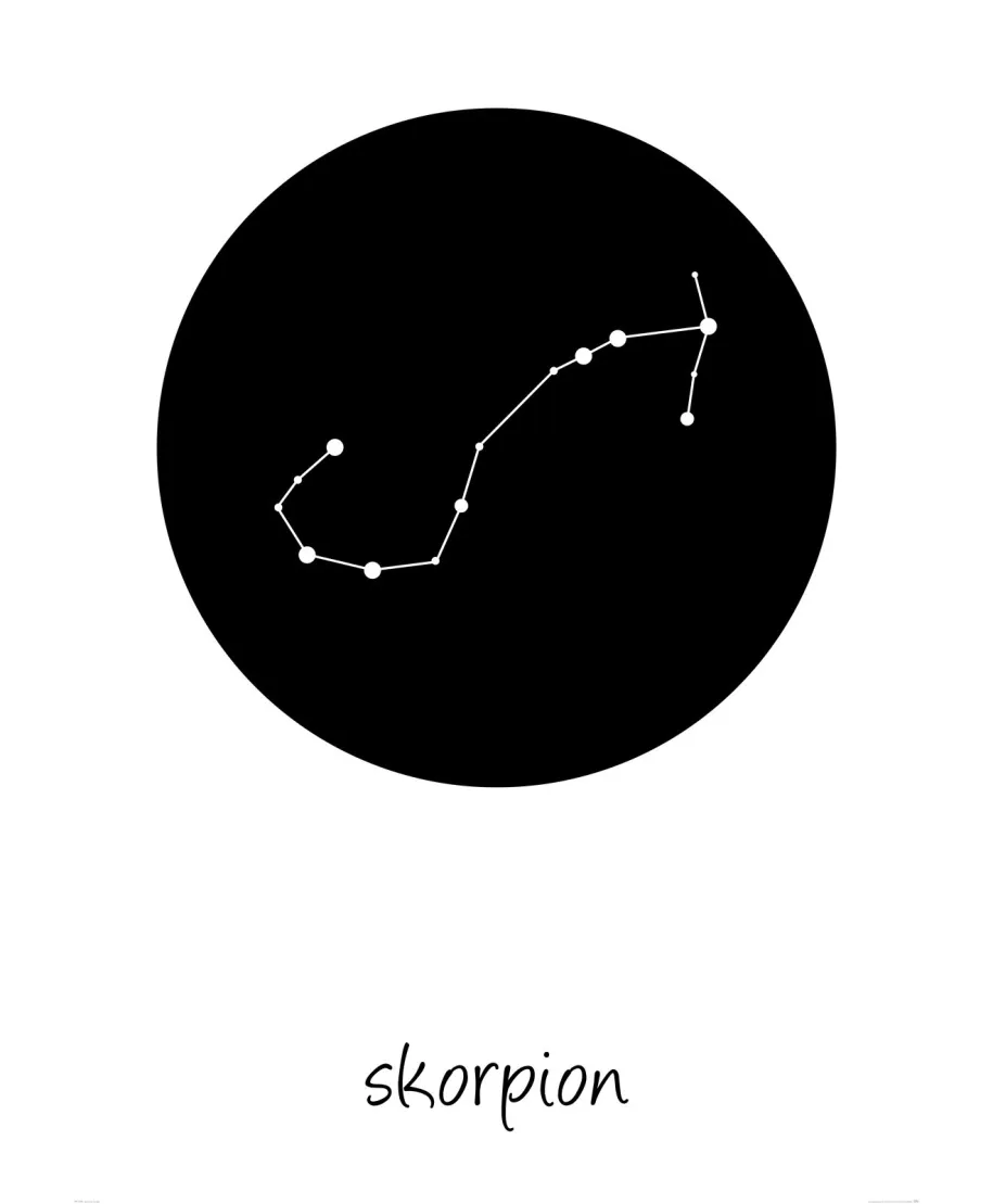 Skorpion konstelacja w kole - plakat