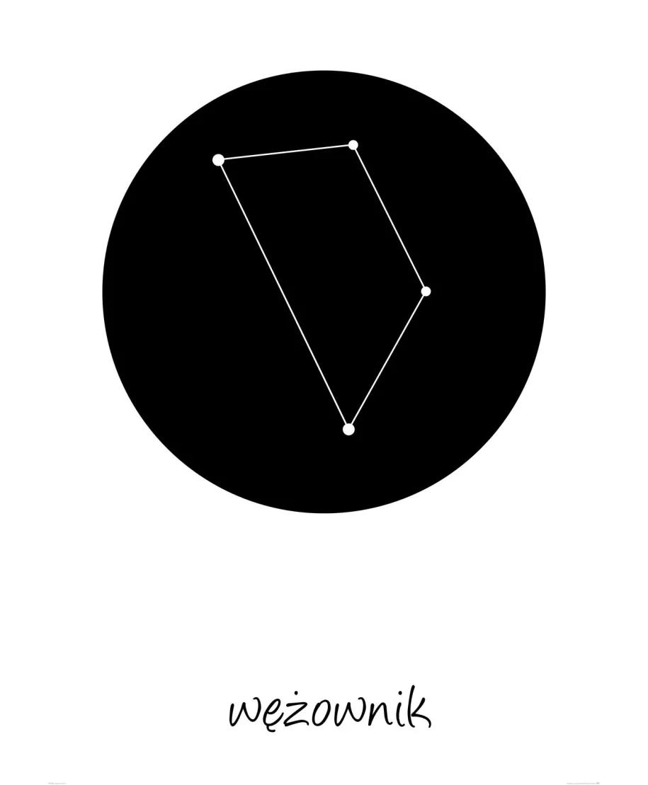 Wężownik konstelacja w kole - plakat