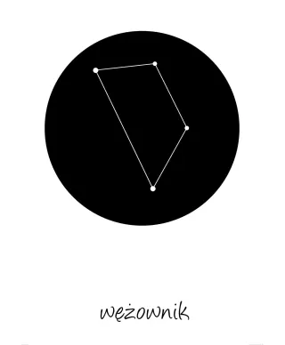 Wężownik konstelacja w kole - plakat