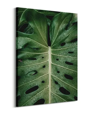 Monstera - obraz na płótnie