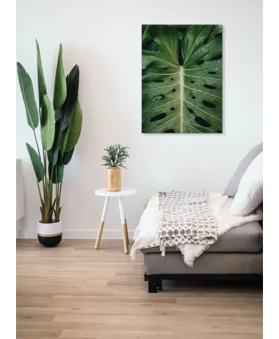 Monstera - obraz na płótnie
