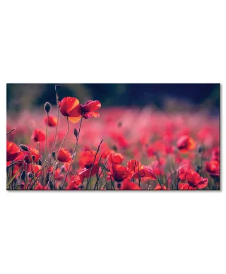 Maki na łące - obraz na płótnie