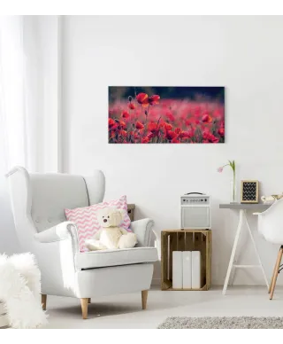 Maki na łące - obraz na płótnie