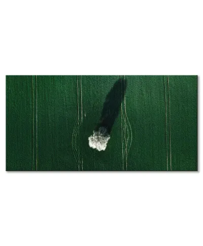 Kwitnące drzewo - obraz na płótnie