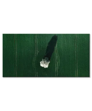 Kwitnące drzewo - obraz na płótnie