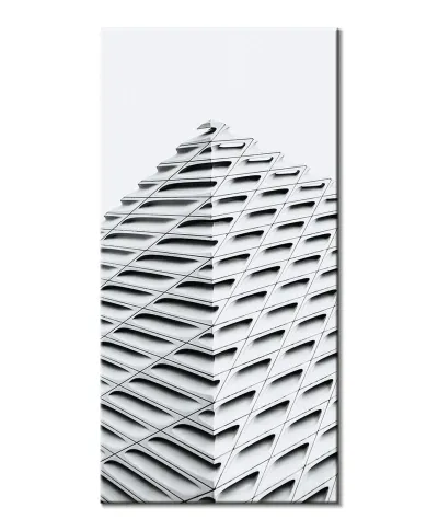 The Broad - obraz na płótnie