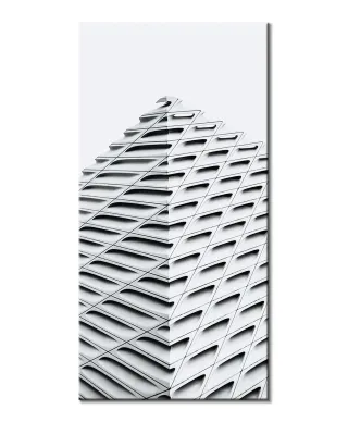 The Broad - obraz na płótnie