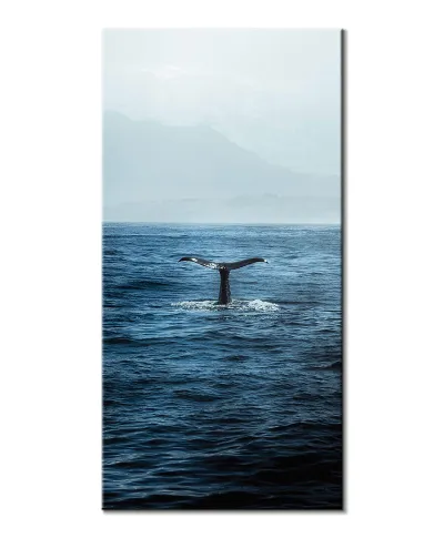 Ogon Wieloryba - obraz na płótnie