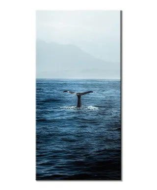 Ogon Wieloryba - obraz na płótnie