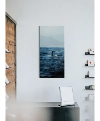 Ogon Wieloryba - obraz na płótnie