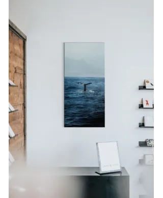 Ogon Wieloryba - obraz na płótnie