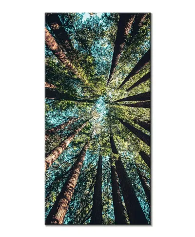 Looking up - obraz na płótnie