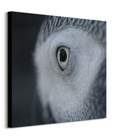 Oko Sowy - obraz na płótnie