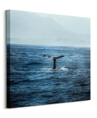 Ogon Wieloryba - obraz na płótnie