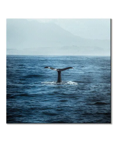 Ogon Wieloryba - obraz na płótnie