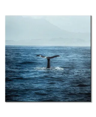 Ogon Wieloryba - obraz na płótnie