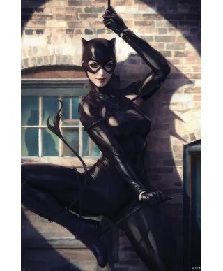 Catwoman Spot Light - plakat