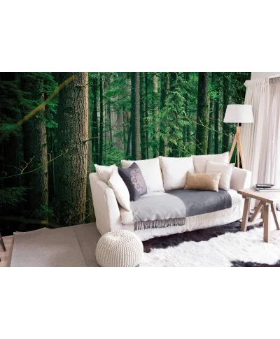 Tajemniczy Las - fototapeta