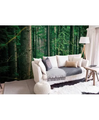 Tajemniczy Las - fototapeta