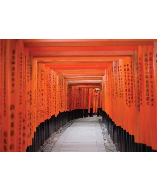 Świątynia w Kioto - fototapeta