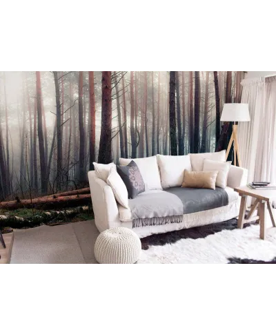 Mglisty las - fototapeta